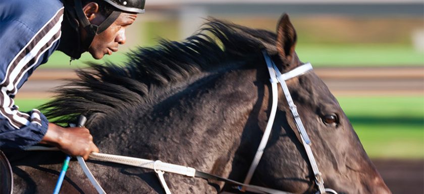 Video-Lottery Terminals, the Reason Behind Horseracing Revenue? man side view and horse 840x385 - Video-Lottery Terminals, the Reason Behind Horseracing Revenue?